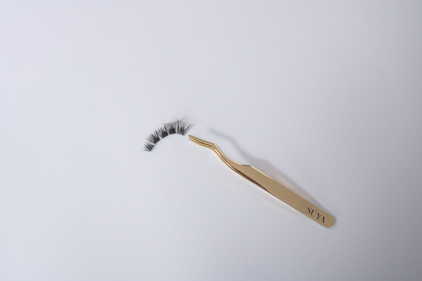 Lash Applicator
